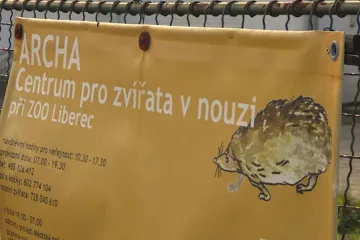Záchranné stanici v Liberci chybí peníze. Některá zvířata bude muset odmítat