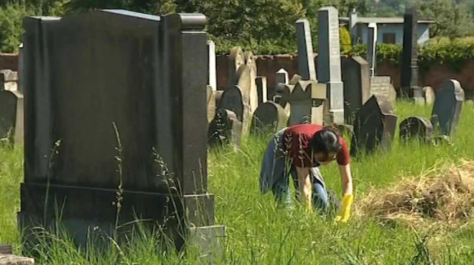 Dobrovolníci zvelebují židovský hřbitov v Holešově