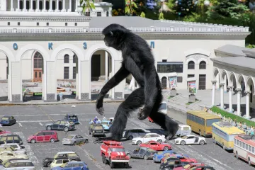 Týden obrazem: Díra před Eiffelovkou, nátěr bombardéru a dřevění sloni