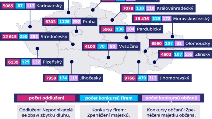 Počty insolvenčních případů v Česku (k 1. 1. 2019)