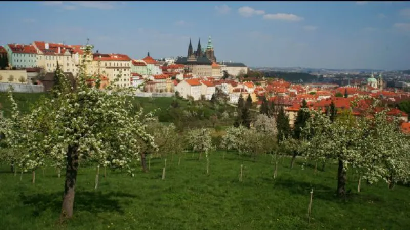 Reportáž Květy Gebauerové a Terezy Strnadové