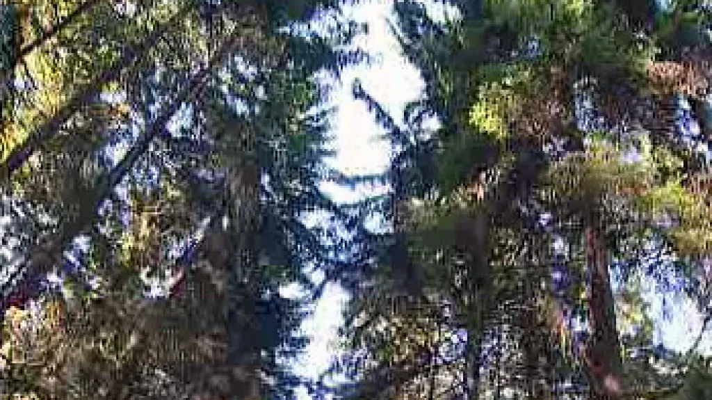 Krkonoše
