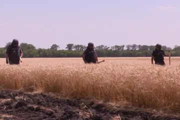Sklizeň ukrajinského obilí je letos extrémně riziková. Pole jsou plná nevybuchlé munice 