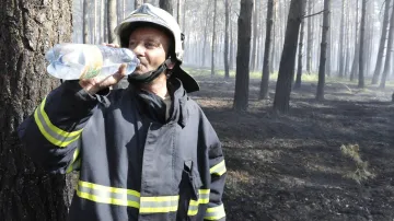 Lesní požár u Bzence na Hodonínsku