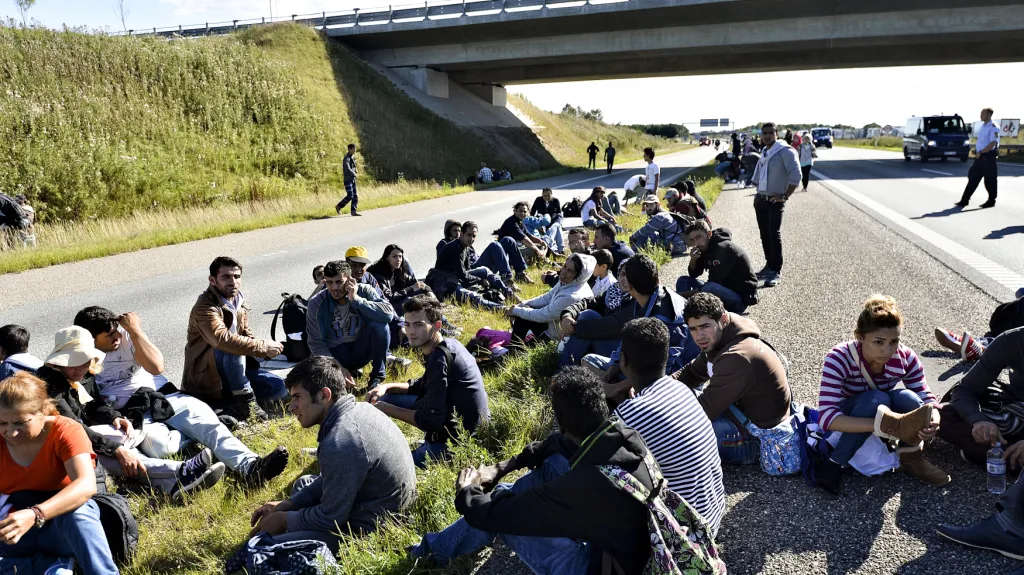 Migranti