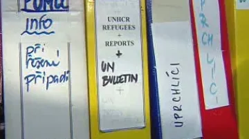 Amnesty Internetional