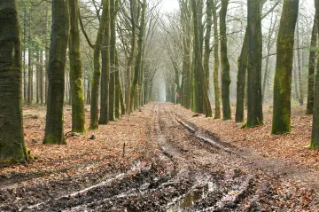 Štědrý den bývá o deset stupňů teplejší než před 30 lety