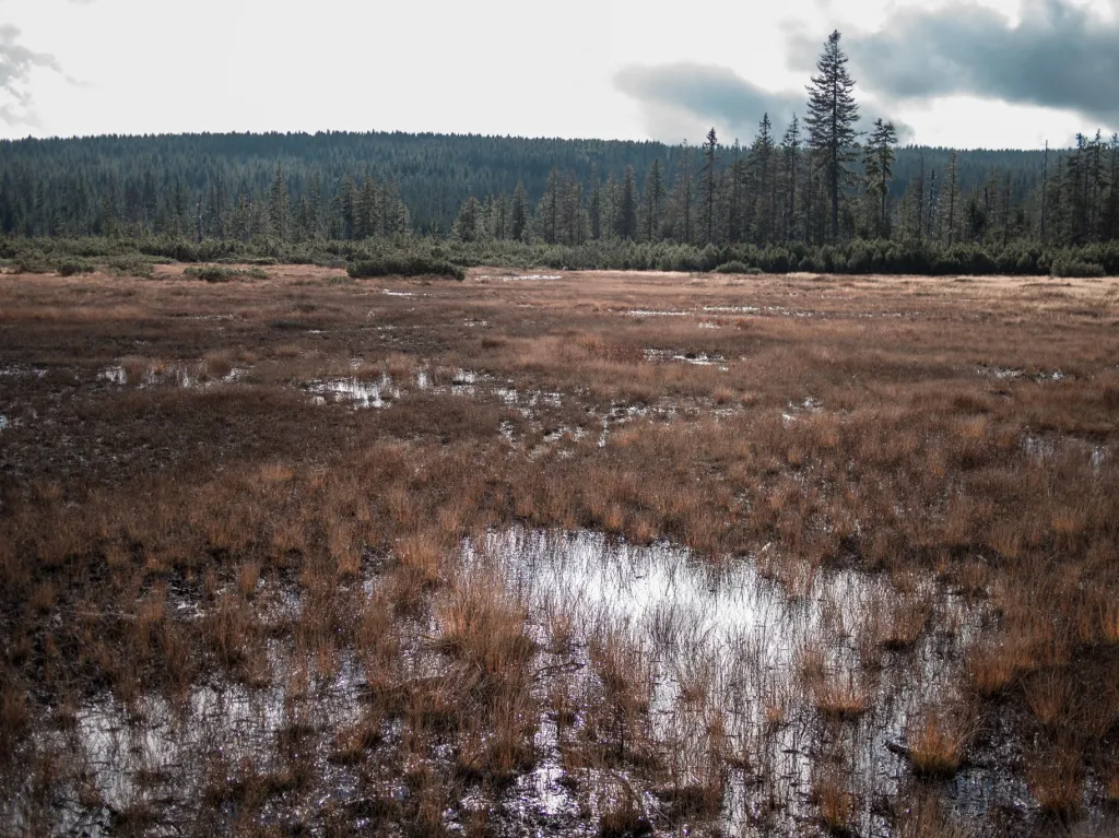 Na osadu pak přímo navazuje Národní přírodní rezervace Rašeliniště Jizerky s meandrujícím tokem říčky Jizerky a jejích přítoků a s rozsáhlými rašeliništi