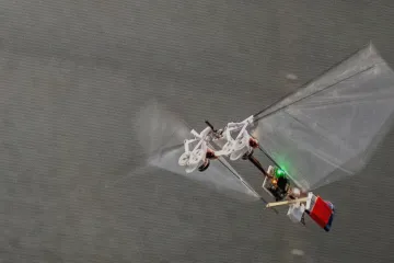 Český vědec vytvořil létajícího „hmyzbota“. Dostal se s ním na titulní stránku časopisu Science