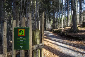 Kvůli možnému pádu stromů nesmí turisté do části Boubínského pralesa