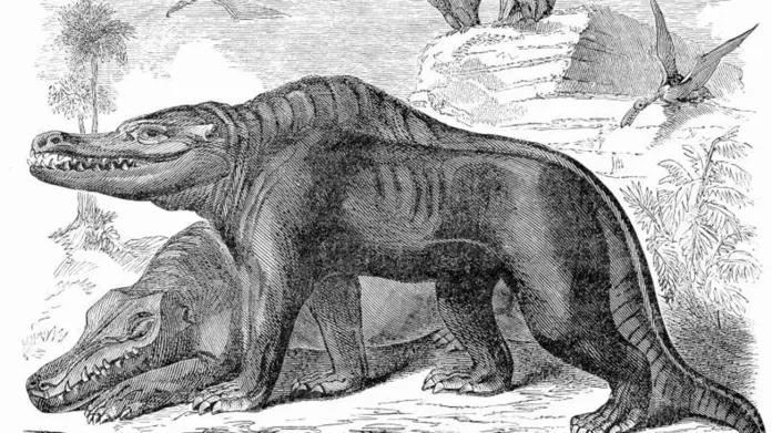 Původní představa o vzhledu megalosaura ze 30. let 19. století