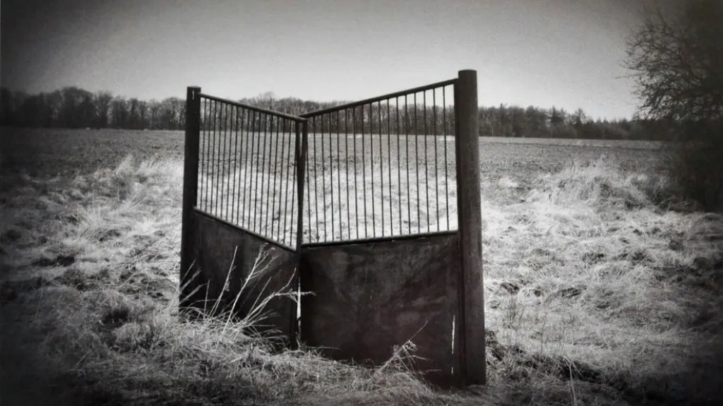 Fotografie Terezy Šitinové