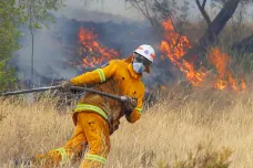 K výrazným požárům v Austrálii přispívá změna rostlin způsobená kolonizátory. Prozradil to výzkum pylových zrn