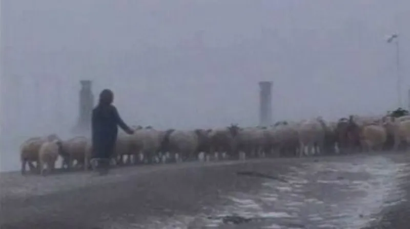 Vladimír Weigert o mrazech v Mongolsku