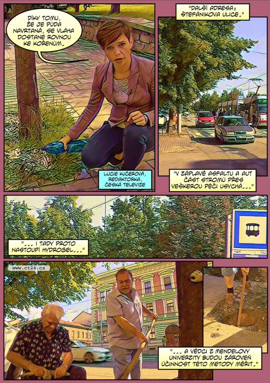 Brňané chtějí zalévat stromy