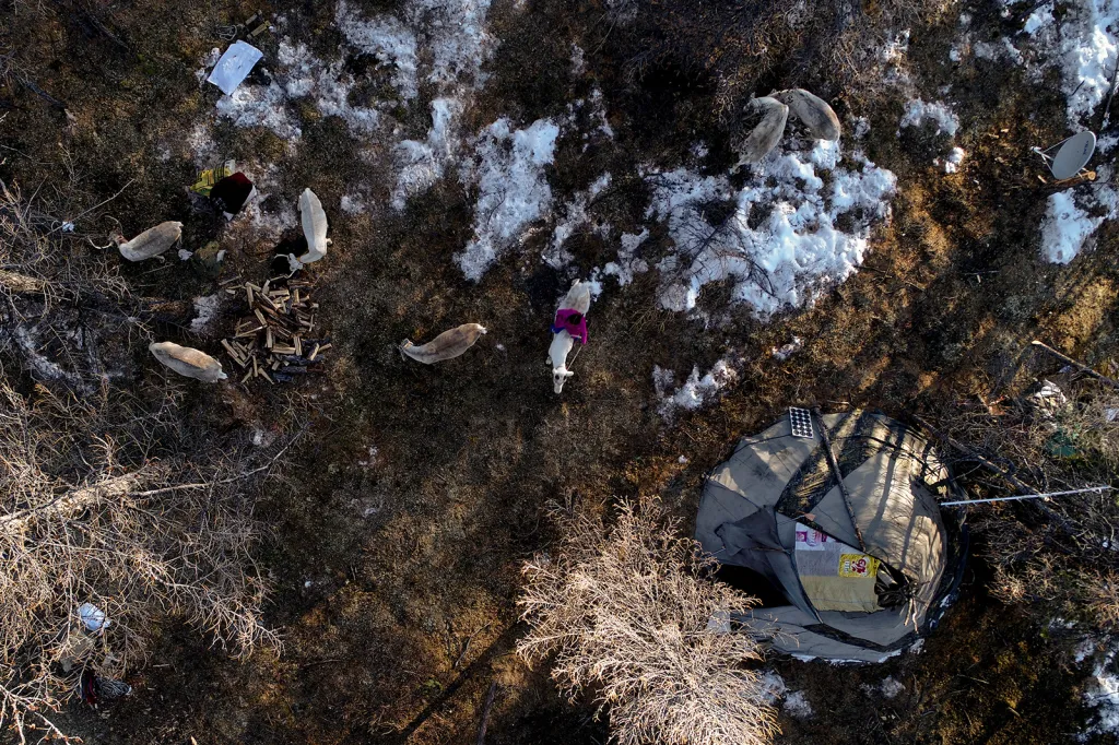 Dnes takto tradičně přežívá posledních pár rodin. Uprostřed lesa s několika kusy sobů… a satelitní anténou. Členové kmene Dukha postupně přicházejí o svou jedinečnou kulturu.