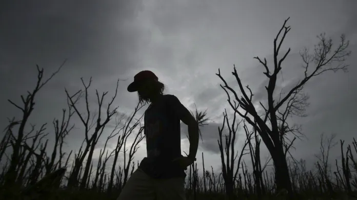Ostrov Tacloban po zásahu tajfunem Haiyan