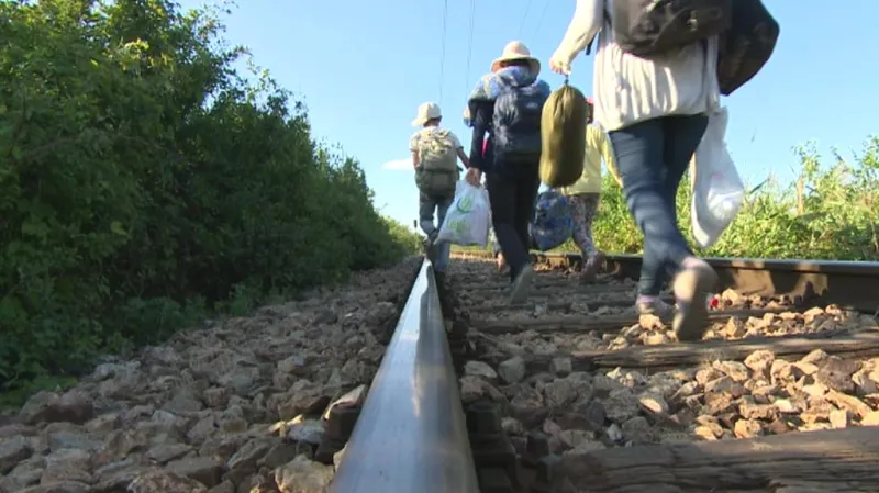 Zaorálek: Brusel nebyl na příliv uprchlíků připraven