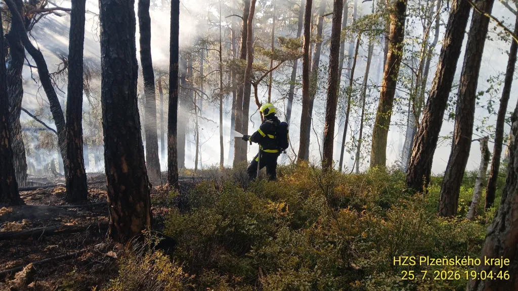 Hasič dohašuje požár v lese na okraji Velhartic 