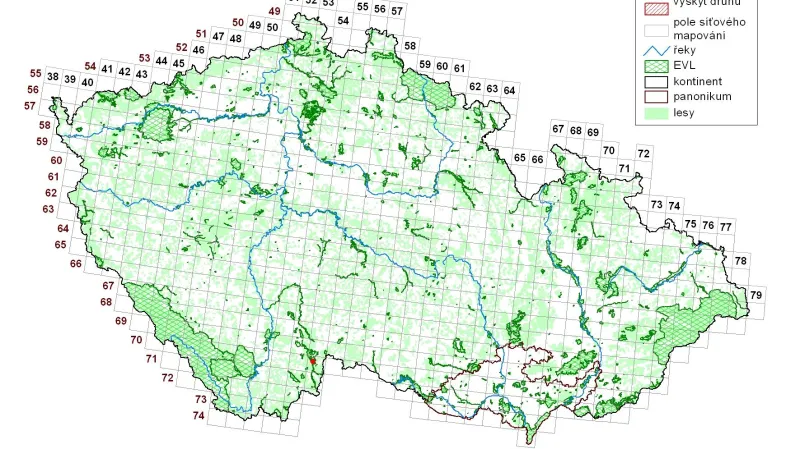 Potápník dvojčárý – rozšíření v ČR