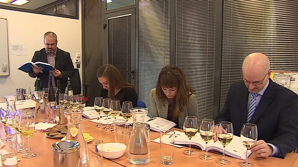 Vinaři mají speciální kurzy angličtiny
