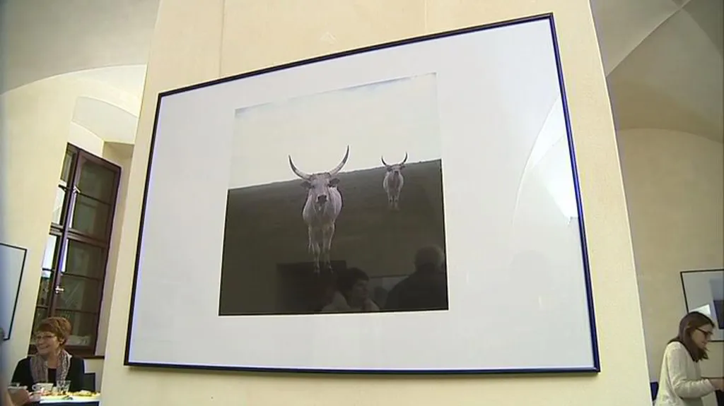 Výstava fotografií