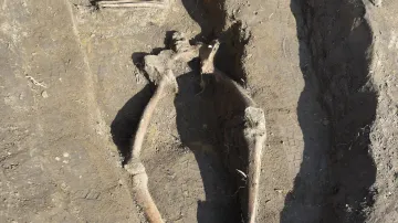 Nález ostatků ve vinohradu u Kostic
