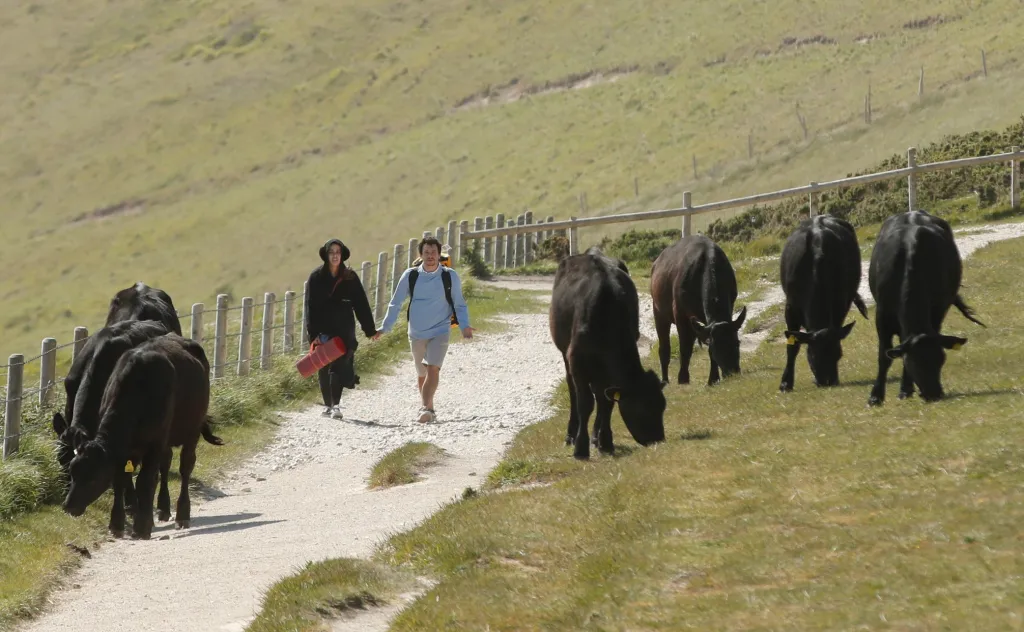 Pobřeží v jižní části Anglie Jurassic Coast navštěvuje v době koronavirových opatření více turistů