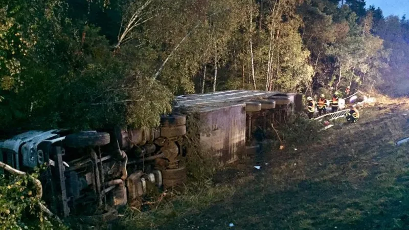 Na D1 za Brnem se převrátil kamion s prasaty