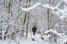 Česko čekají mrazivé noci, sněžit bude na horách koncem týdne