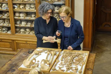 Výzkum: U Vídně žily v době Avarů geneticky odlišné skupiny s jednou kulturou