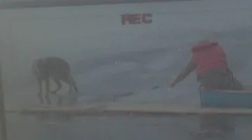 Lidé zachraňují psa, který uvízl uprostřed přehrady
