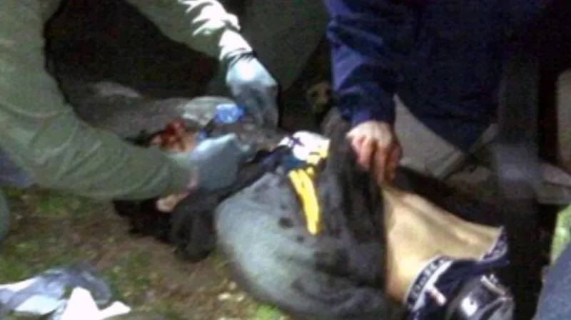 Zadržení zraněného Džochara Carnajeva