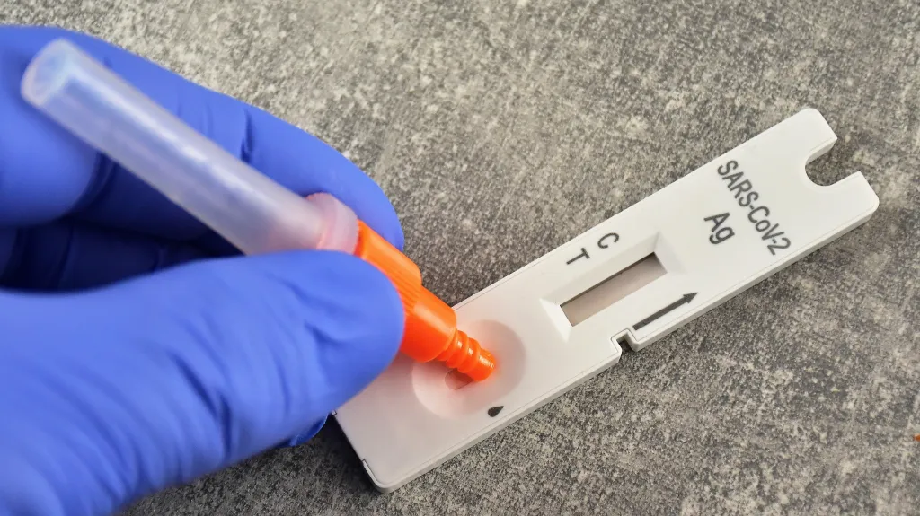 Testování na covid