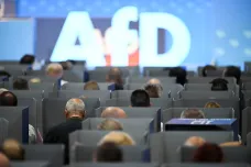 Bystroň cítí od vedení AfD jasnou podporu. Strana prohlásila, že poslance musí považovat za nevinného