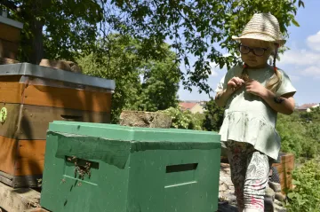 Otevřená zahrada buduje včelí pozorovatelnu a prosklený úl