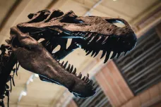 Teorie, že náraz planetky vedl k vyhynutí dinosaurů, zprvu vyvolávala skepsi
