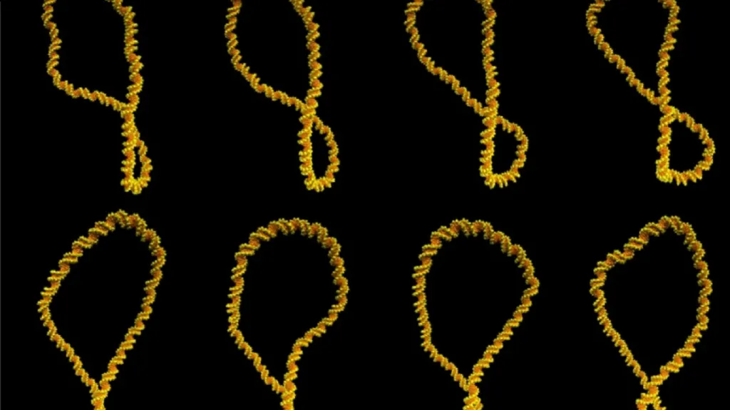 DNA v pohybu