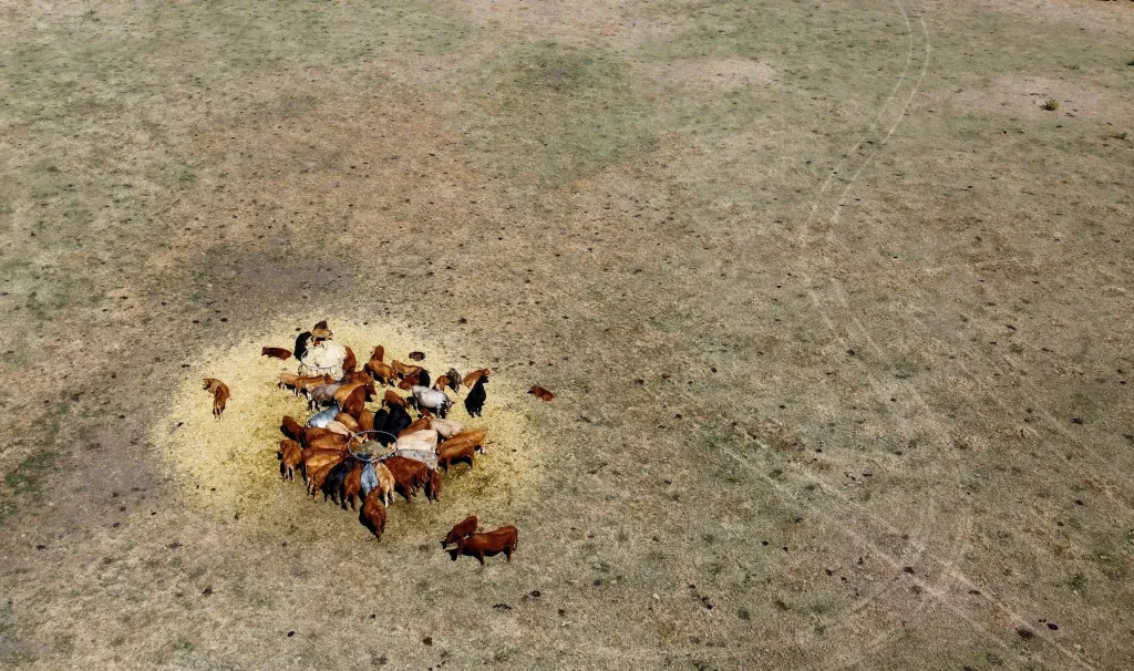 Extrémní sucho ve Velké Británii