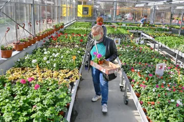 Tak velký zájem zahradnictví nepamatují. Lidé nakupují sazenice zeleniny i ovocné stromky