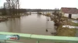Vstup Mirky Vildové