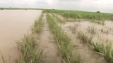 Povodné v Pákistánu