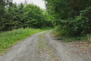 Majitelé lesů asi budou muset zajistit cesty pro hasiče. Podnětem byl požár Českého Švýcarska