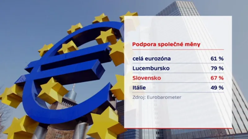 Podpora společné měny