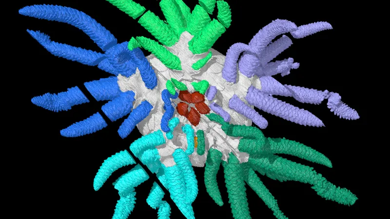 Vizualizace Sollasina cthulhu