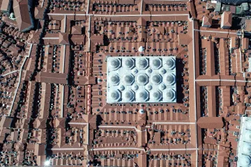 Týden obrazem: Kruhy v trávě, souboj jelenů a saranče, které má roušku 