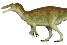 Paleontologové popsali nového masožravého dinosaura. Lovil jako obří ledňáček