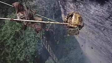 Rozmanitost planety Země