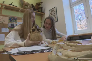 Žáci při výuce používali 160 let staré ostatky důstojníka uherské armády