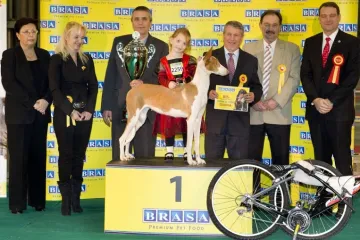 Brno se na víkend proměnilo v město pejskařů